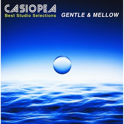 IT'S A LONG STORY/CASIOPEA