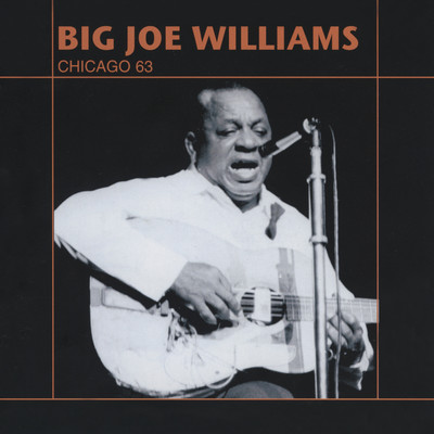Terraplane Blues/ビッグ・ジョー・ウィリアムス
