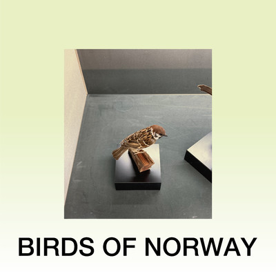 BIRDS OF NORWAY/Kent Funayama