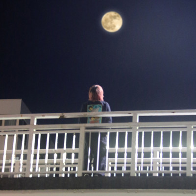 月が綺麗だ/Arakezuri