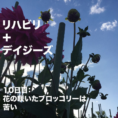 シングル/10日目:花の咲いたブロッコリーは苦い/リハビリ+デイジーズ