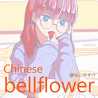 Chinese bellflower/＠ねこのすけ