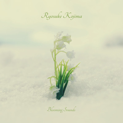 シングル/Blooming Sounds/Ryosuke Kojima
