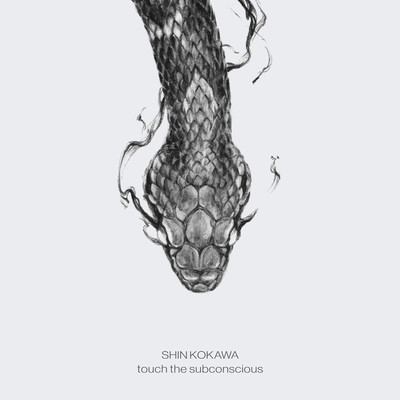 touch the subconscious/SHIN KOKAWA