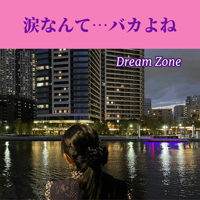 涙なんて…バカよね/Dream Zone