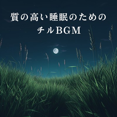 アルバム/質の高い睡眠のためのチルBGM/Relaxing BGM Project