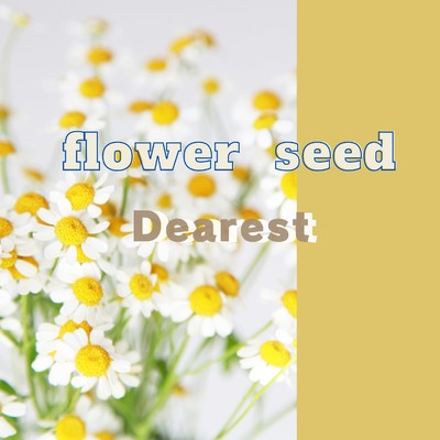 Dearest/flower seed