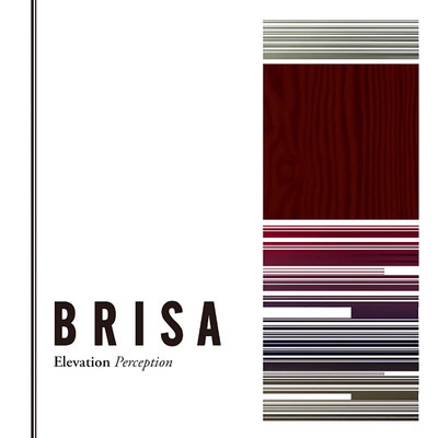Now Is The Time/BRISA