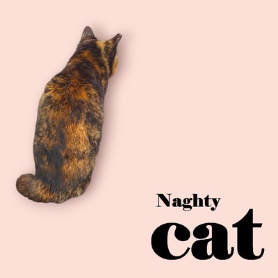 シングル/Naghty Cat/P4C