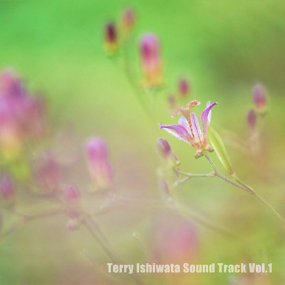 Terry Ishiwata Sound Track Vol.1/石渡輝彦