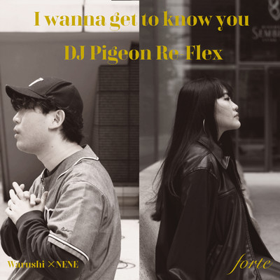 I wanna get to know you (DJ Pigeon Re-flex)/Warushi×NENE