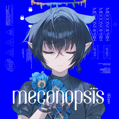 Meconopsis/Ninomae Ina'nis