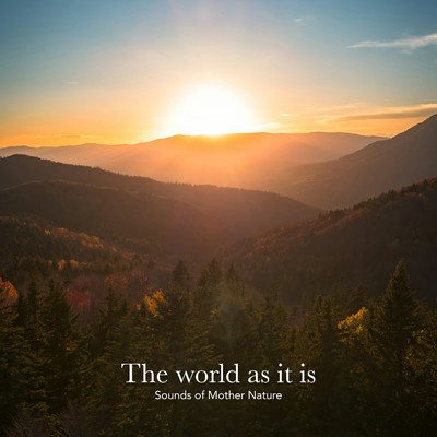 The world as it is-Sounds of Mother Nature/CROIX HEALING