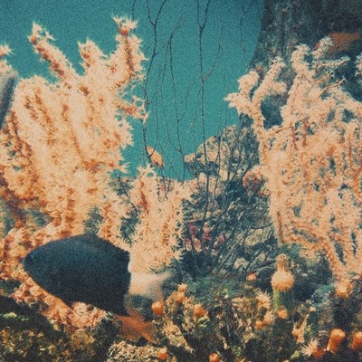 シングル/With You,And You/Heidi