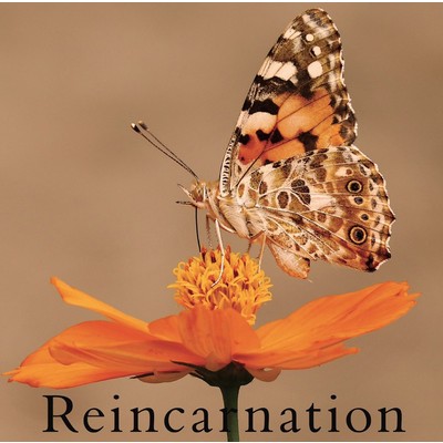 Reincarnation 【通常盤B】/Neverland