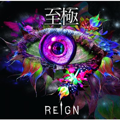 アルバム/至極 (通常盤)/REIGN