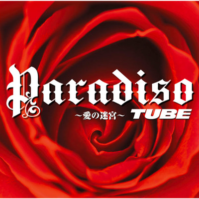 シングル/Paradiso 〜愛の迷宮〜/TUBE