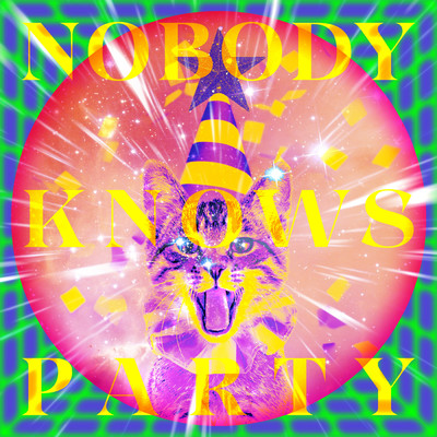 シングル/NOBODY KNOWS PARTY feat.玉屋2060%/ナナヲアカリ