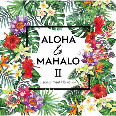 ALOHA & MAHALO II/Various Artists