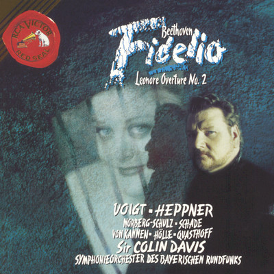 Fidelio: Act II: Introduction and Aria - Gott, welch Dunkel hier/Ben Heppner／Sir Colin Davis