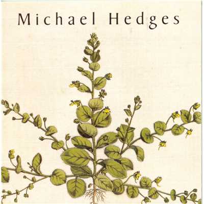 The Jealous Tunnel／About Face/Michael Hedges