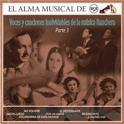 El Sauce Y La Palma (Remasterizado)/Luis Perez Meza