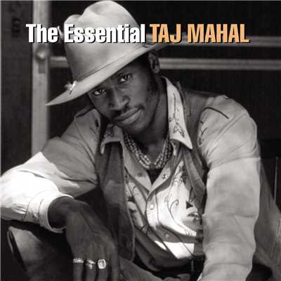 You're Gonna Need Somebody On Your Bond (Album Version)/Taj Mahal