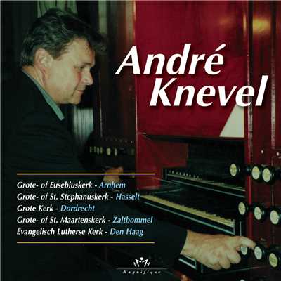 アルバム/Veel Gevraagde Improvisaties Op Bekende Nederlandse Orgels/Andre Knevel