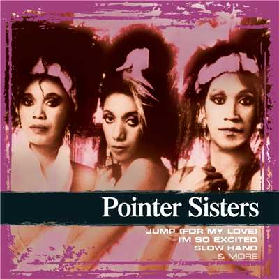 シングル/I'm So Excited (12” Remix)/The Pointer Sisters