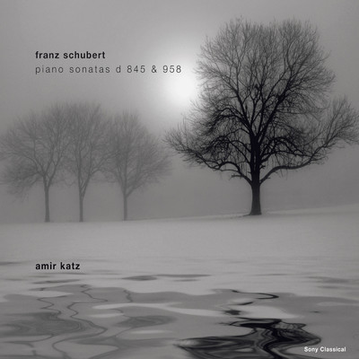 Schubert: Klaviersonaten D 845 & D 958/Amir Katz