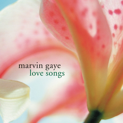 アルバム/Love Songs/Marvin Gaye