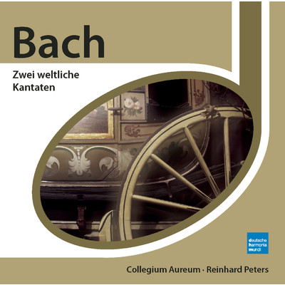 Cantata No. 209: Non sa che sia dolore, BWV 209: Recitti gramezza e pavento (Aria)/Collegium Aureum