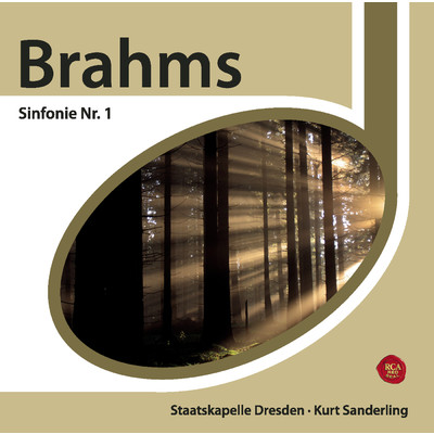 アルバム/Brahms: Sinfonie Nr. 1/Kurt Sanderling