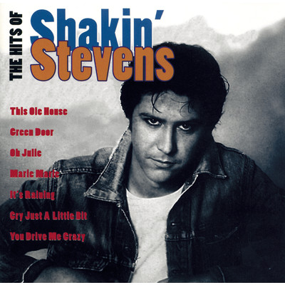 A Rockin' Good Way (To Mess Around and Fall In Love)/Shakin' Stevens／Bonnie Tyler