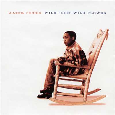 Don't You Ever Touch Me (Again)/Dionne Farris