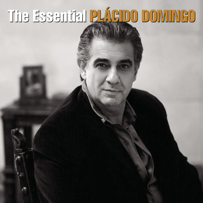 A Love Until the End of Time/Placido Domingo／Maureen McGovern