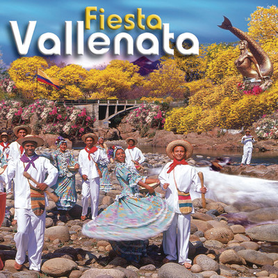 アルバム/Fiesta Vallenata/Vallenato