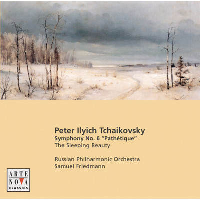 アルバム/Tchaikovsky: Sym. No.6／Sleeping Beauty-Suite/Samuel Friedmann