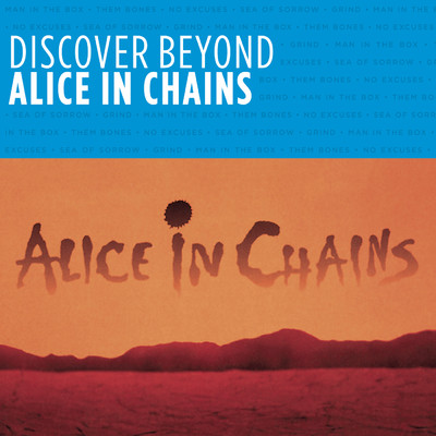 シングル/Dirt/Alice In Chains