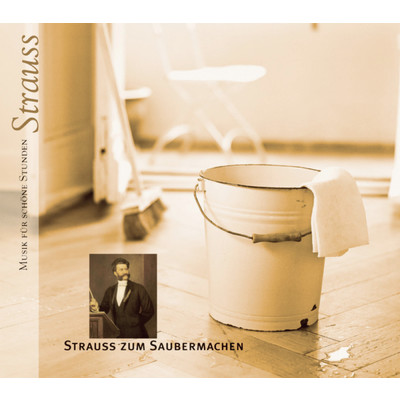 Musik fur schone Stunden: Strauss zum Saubermachen/Various Artists