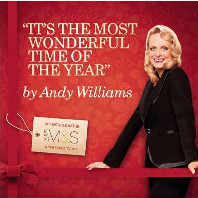 シングル/It's the Most Wonderful Time of the Year/Andy Williams