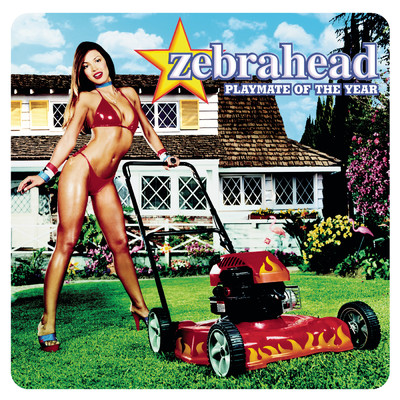 What's Goin' On？/Zebrahead