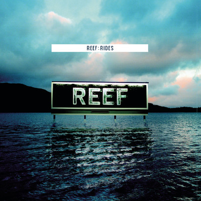 Love Feeder/Reef