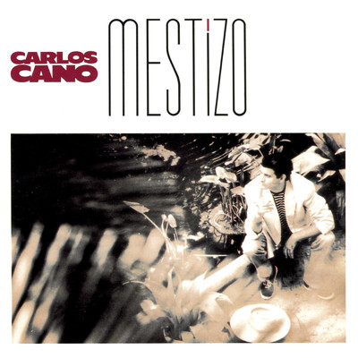 Mestizo/Various Artists