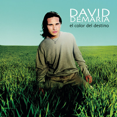 シングル/Alas Al Viento (Album Version)/David DeMaria
