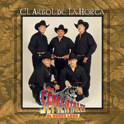 シングル/Y Te Voy A Llorar (Album Version) (Clean)/Los Sementales De Nuevo Leon