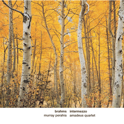 アルバム/Brahms: Intermezzo/Murray Perahia, Amadeus Quartett