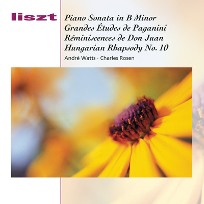 アルバム/Piano Sonata/Andre, Watts, Charles Rosen