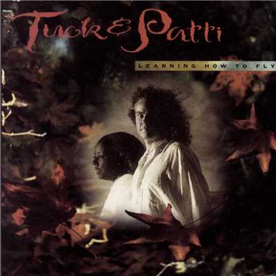 Up From The Skies (Album Version)/Tuck & Patti