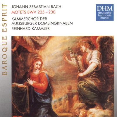 Kammerchor der Augsburger Domsingknaben